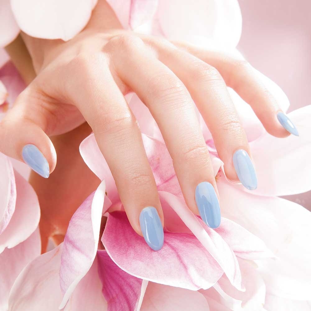 SHABBY CHIC 7809.jpg