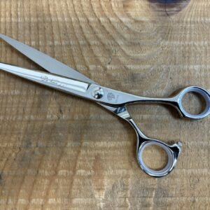 DA VINCI DA TAGLIO.jpg