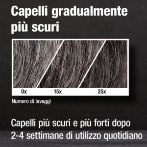 CAPELLI GRADUALMENTE PIù SCURI.png